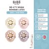 Bộ 4 ty ngậm núm tròn cao su BIBS Colour Boheme Latex Size 1 (0-6 tháng), Ivory/Blush/Blossom/Dusky Lilac.